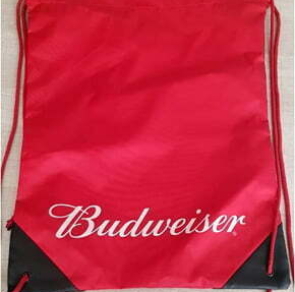 BAGS231