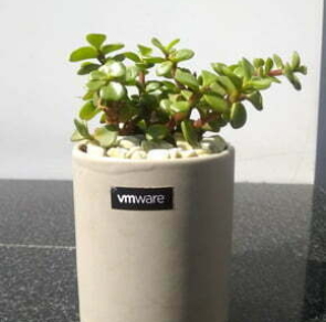 SUSTAINABLE GIFTS280