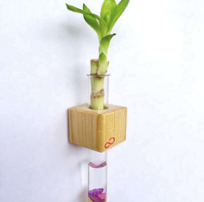 SUSTAINABLE GIFTS290
