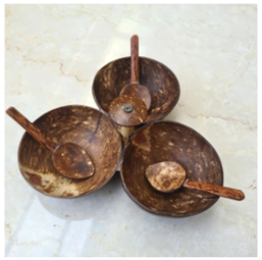 SUSTAINABLE GIFTS6