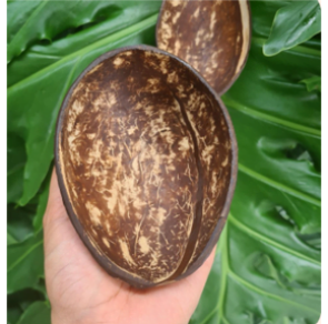 SUSTAINABLE GIFTS7